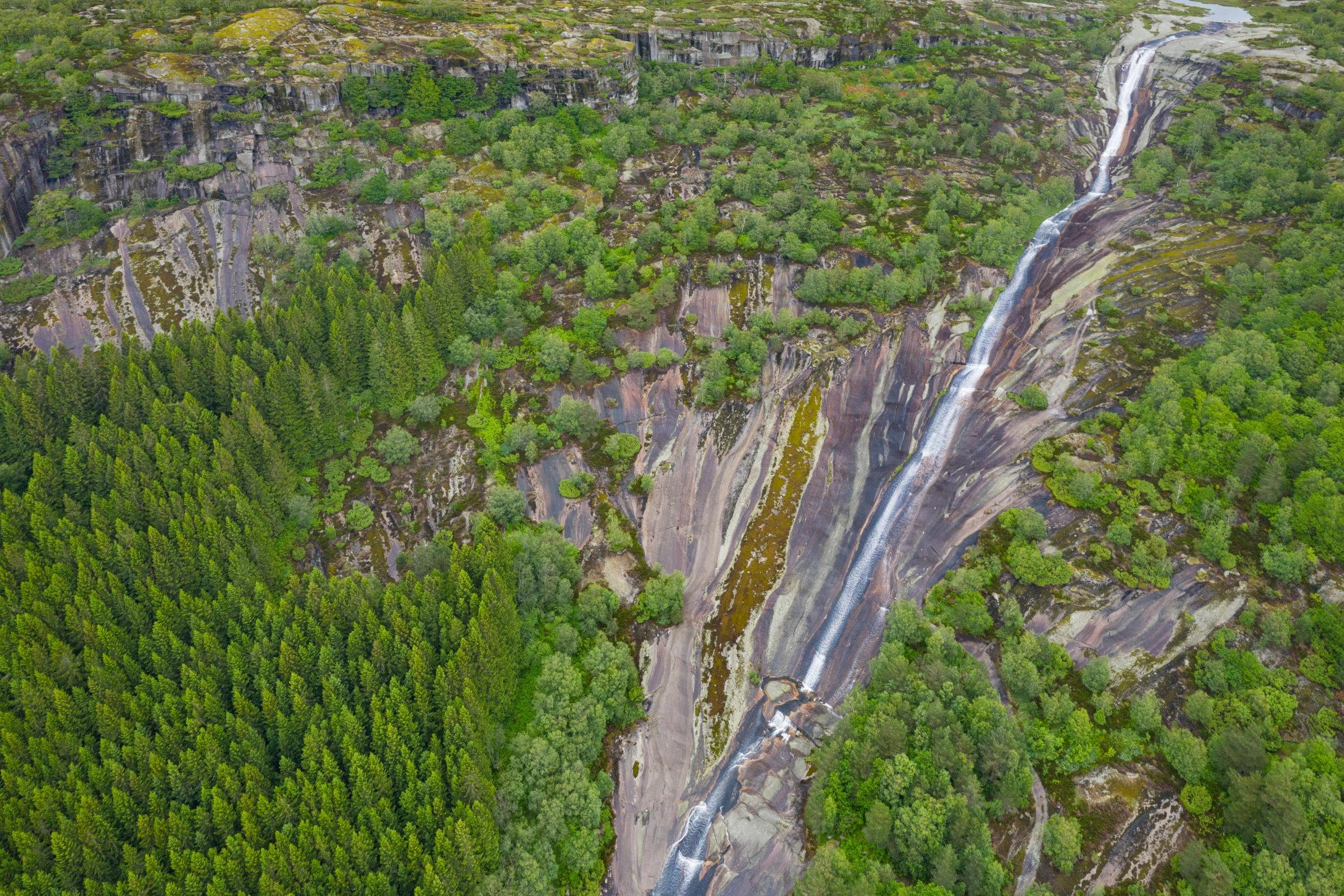 Lyngdal[1].webp